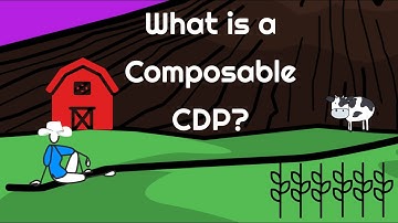 What is a Composable CDP?