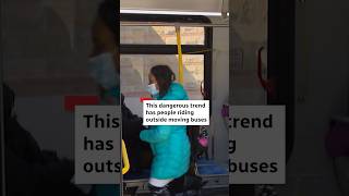Halifax warns against dangerous bus surfing trend