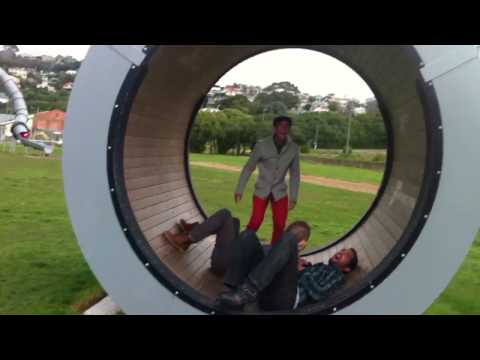 the-best-hamster-wheel-fails-in-2016