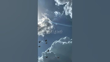 ما تيسر من القرآن الكريم بصوت ماهر المعيقلي