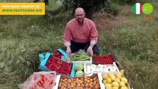 I Prodotti Biologici d'eccellenza di FruttaWeb