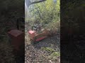 Sauberes Schnittbild trotz Wildwuchs: Der 1200mm Schlegelmulcher "Big" in Aktion