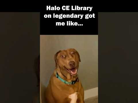 9 Y O Me Is Traumatised By That Level Halo Haloce Gaming Allthingshalo