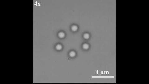 SI Video 7: Higher number colloidal assembly