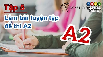 HỌC TIẾNG SÉC CÙNG TAMDA ŠKOLA VÀ MOONSTAR | TẬP 5: LÀM BÀI TẬP