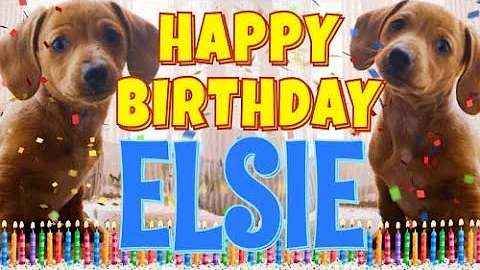 Happy Birthday Elsie! ( Funny Talking Dogs ) What ...