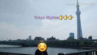 Welcome to tokyo