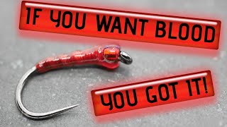 How to tie a deadly Stillwater Bloodworm pattern for fly fishing
