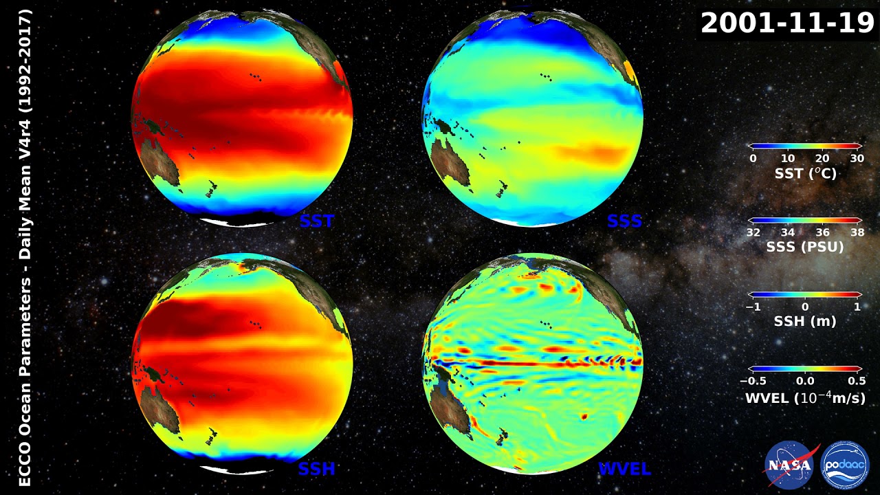 ECCO V4r4 datasets daily animation over the period from to 2018 - YouTube