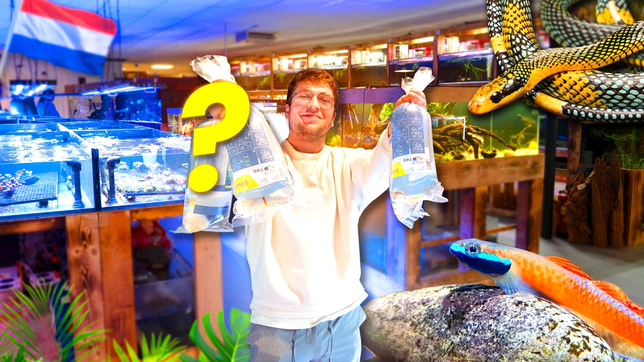 Des POISSONS et des REPTILES de fou ! 1 Semaine au Pays Bas