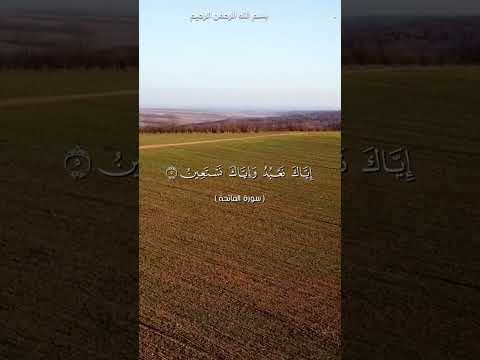 سورة الفاتحة بصوت الشيخ محمد الفقيه