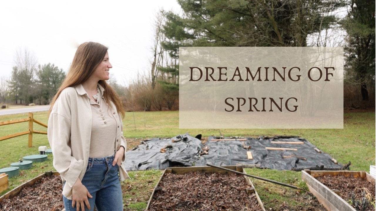 Planning for spring, ordering seeds, 2026 garden