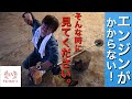 【刈り払い機】メンテナンス方法!エンジンがかからない原因と対策。