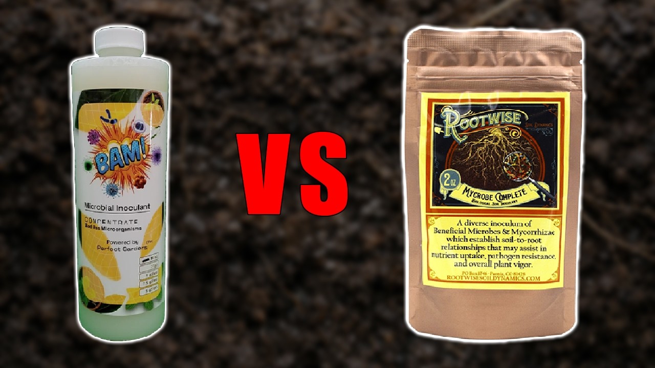 BAM vs Rootwise Mycrobe Complete