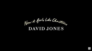 David Jones - Now It Feels Like Christmas: Kitchen Aid - Lisa Bailey