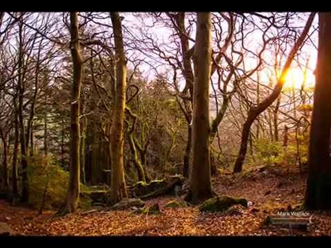 رامى جمال حقيقه وباينه زى الشمس كامله