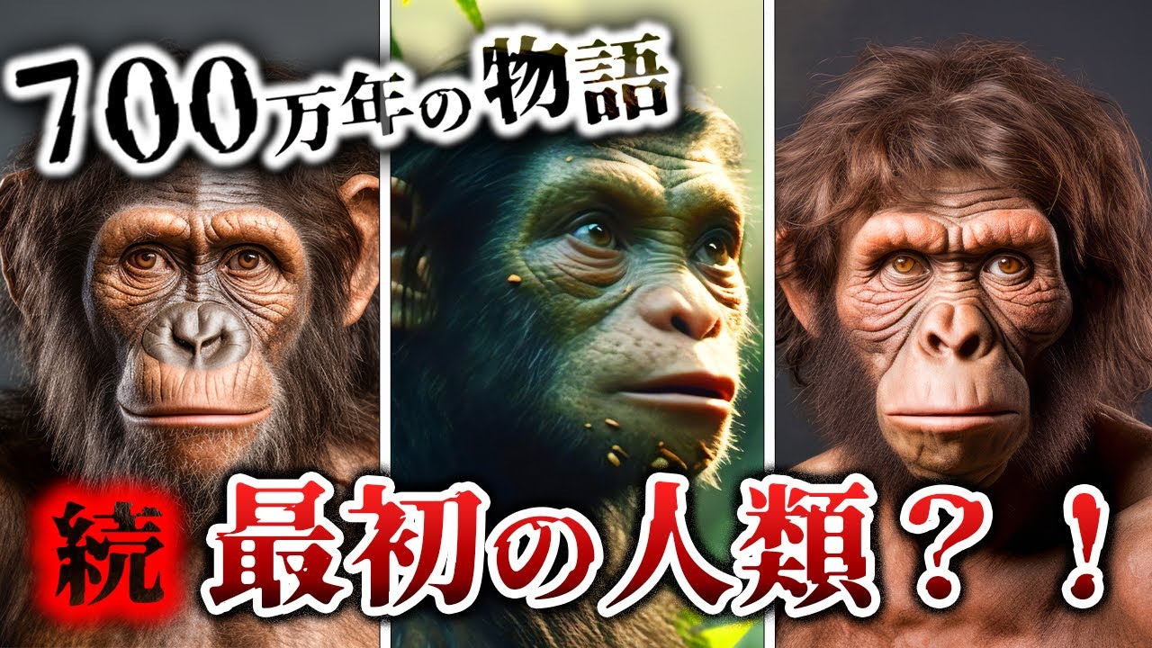 【ゆっくり解説】人類誕生！猿人から続く700万年の軌跡とは？