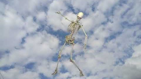 FxGuru Video, the evll,dance