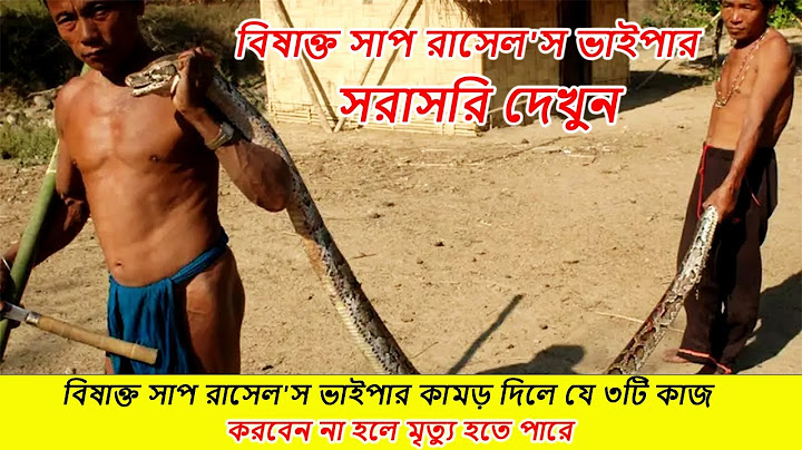 বিষাক্ত সাপ রাসেল'স ভাইপার কামড় দিলে যে ৩টি কাজ করবেন না হলে মৃত্যু হতে পারে