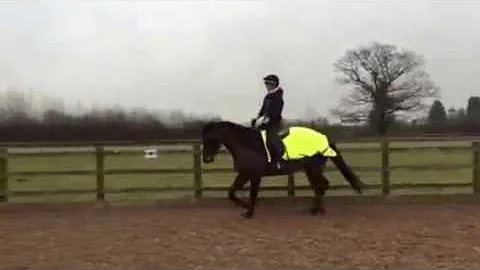 Morse schooling with Beth Stringer