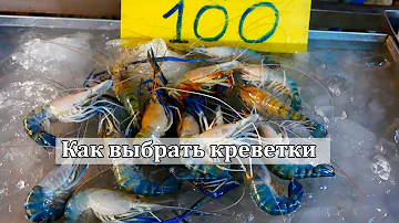 Креветки: Как правильно выбирать в магазине и на рынке морепродуктов.