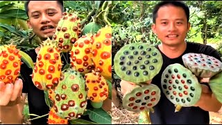 10 Strange Fruits You Won't Believe Actually Exist