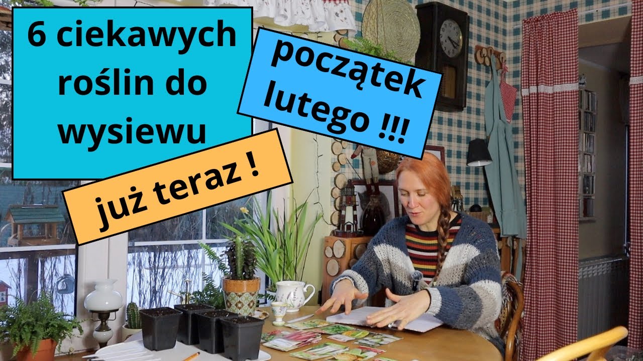 Owoce nawet do przechowywania. Trzeba wysiać na rozsadę już teraz/Co wysiać na początku lutego.