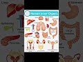 Human Body Parts and Organs Names in English #shortsfeed #shorts