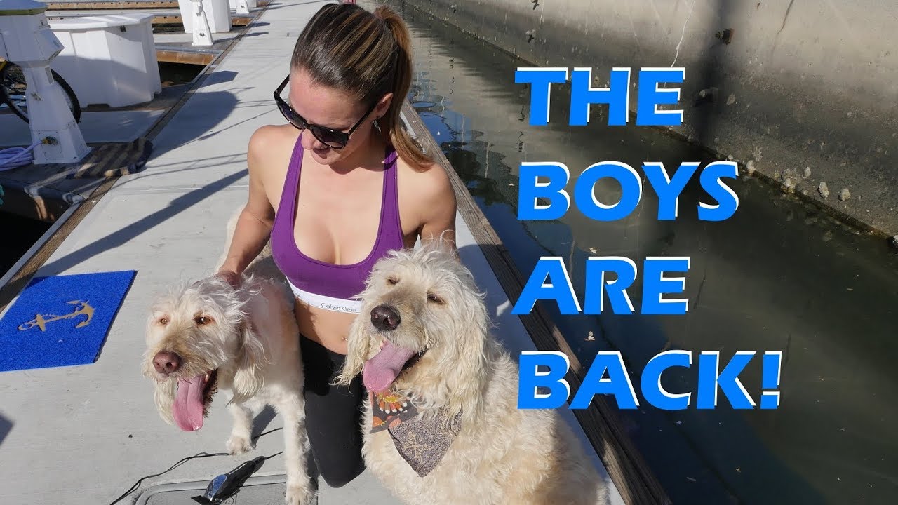 THE BOYS ARE BACK! – S2:E06
