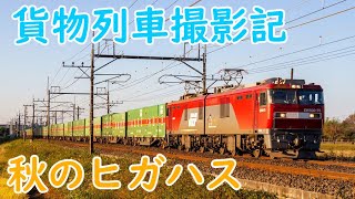 【貨物列車撮影記[8]】JR東日本　東北本線　ヒガハス　2021.10.30　(FHD)