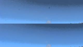 DeLogo Split Screen
