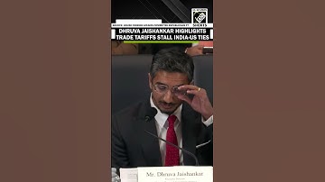 ORF Exe. Director Dhruva Jaishankar highlights trade tariffs stall India-US ties