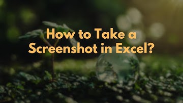 How to Take a Screenshot in Excel?