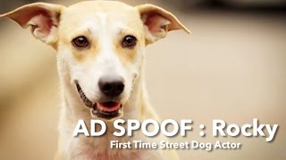 AD BREAKDOWN: GODREJ POLLUTION DOG SPOOF