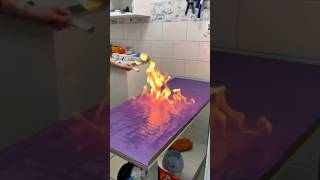 Why Vets Light The Exam Table On Fire 😷🔥 #goodtoknow #vet #medicine #funfacts #lifehacks #ringworm