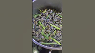 Ốc cà na luộc sả bỏ tủ lạnh bảo quản rất lâu khi nào ăn mang ra chế biến