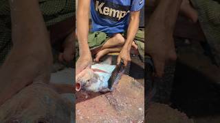 Fast Tilapia Fish Cutting Skills In Bangladesh Fish Market shorts