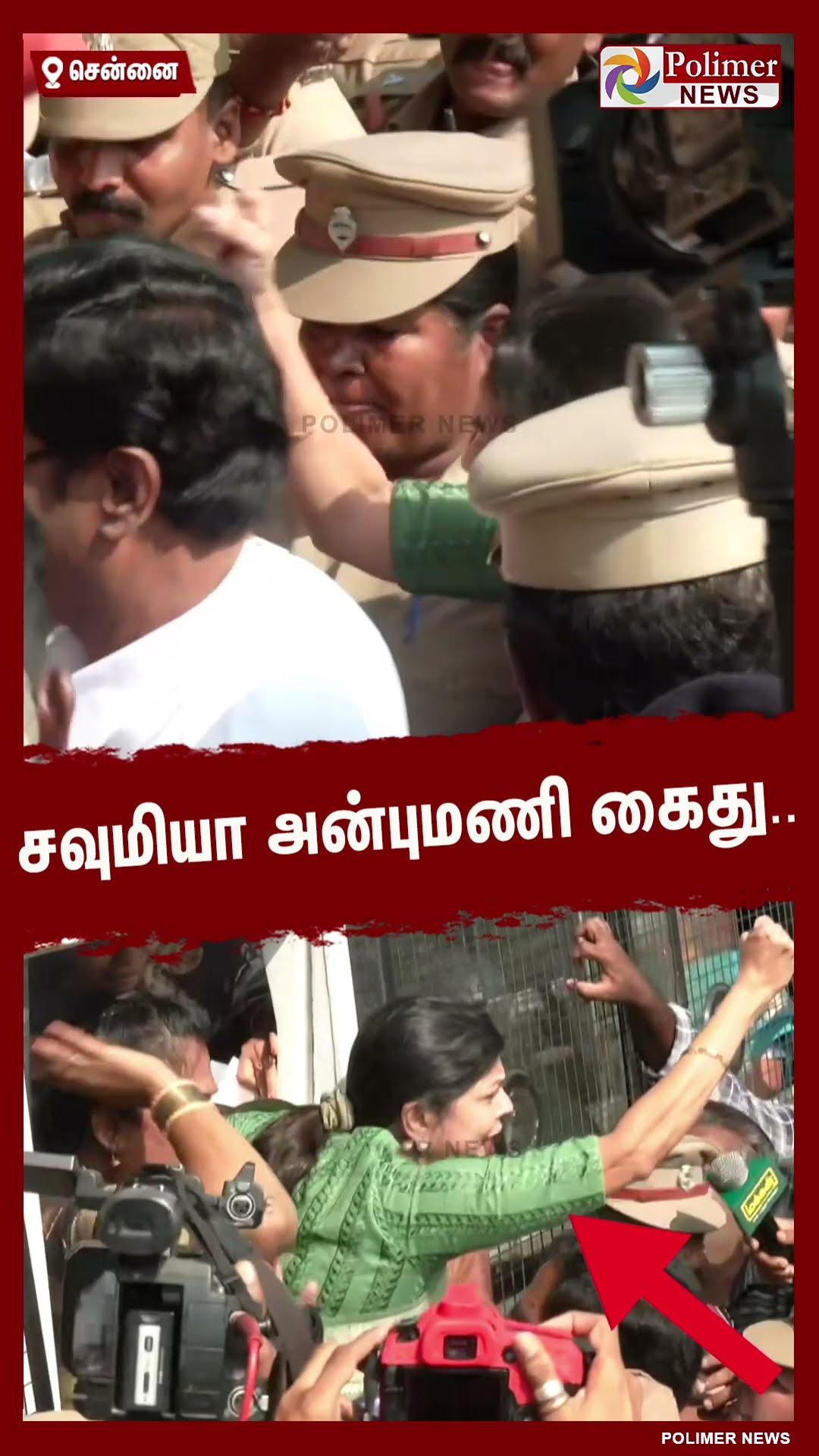சவுமியா அன்புமணி கைது .. #shorts | #sowmiyaanbumani | #arrest