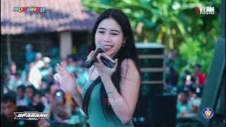 SALMA NOVITA - PUNK ROCK JALANAN || ROMANSA BRANANG BERSATU PELEMKEREP MAYONG 2025