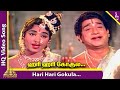 Hari Hari Gokula Video Song | Thirumal Perumai Movie Songs | Sivaji Ganesan | KR Vijaya