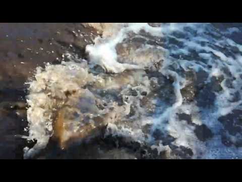 В Верхнеблаговещенском топит дачные участки и жилые дома