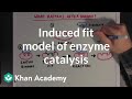 Induced fit model of enzyme catalysis | Chemical Processes | MCAT | Khan Academy