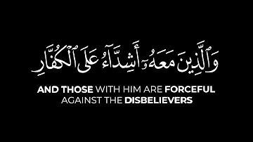 محمد رسول الله | القارئ ياسر الدوسري - سورة الفتح | كروما شاشة سوداء قرآن كريم