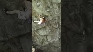 8b free solo