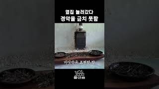 옆집 놀러갔다 경악을 금치 못함 #들앤숲 #shorts #랜선집들이