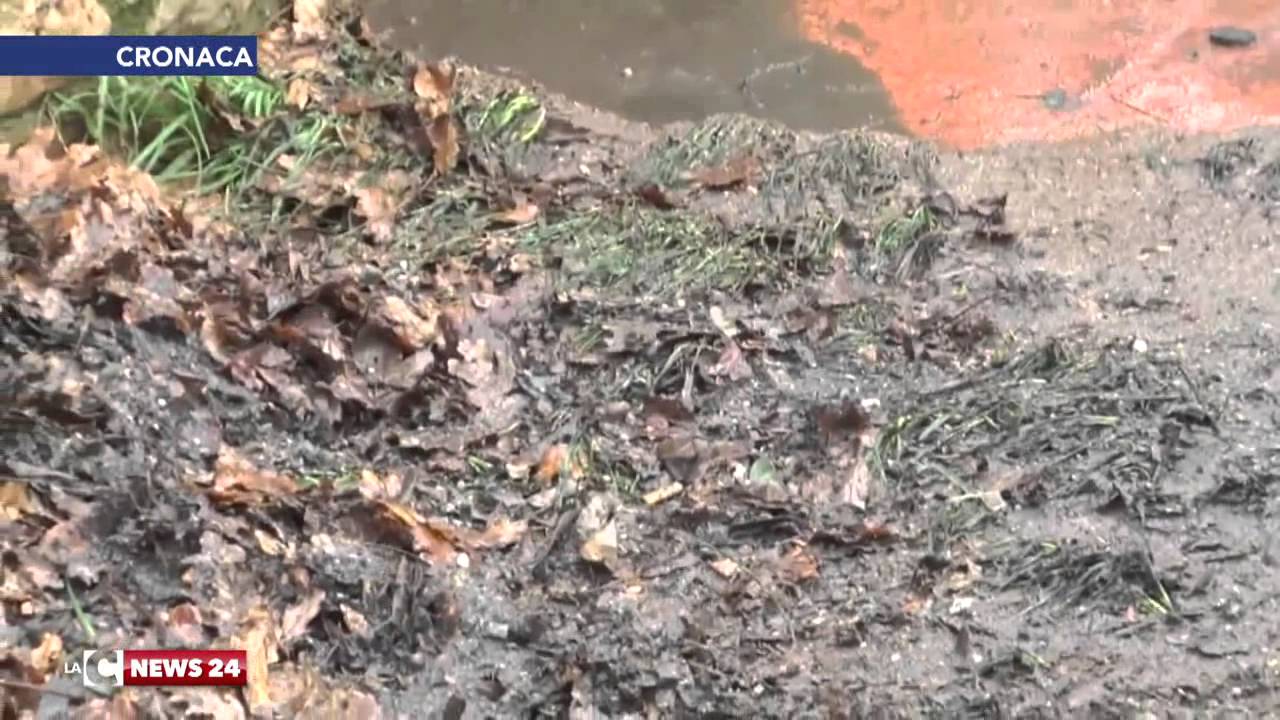 Agguato a Lamezia: imprenditore ucciso e dato alle fiamme.