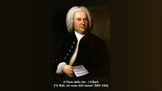 O Pane della vita - J.S.Bach