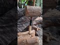 pump drill the traditional art of starting a fire #primitivefire #traditionalfire #selfsufficiensy