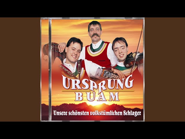 URSPRUNG BUAM - WANN SEH'N WIR UNS WIEDER