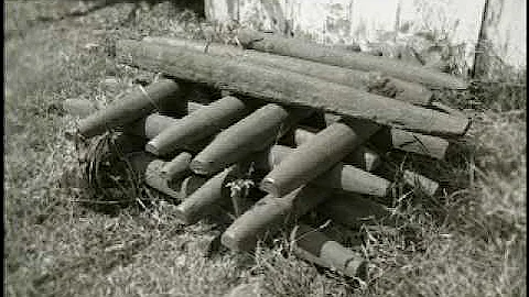 Batsto - Stories In The Pines